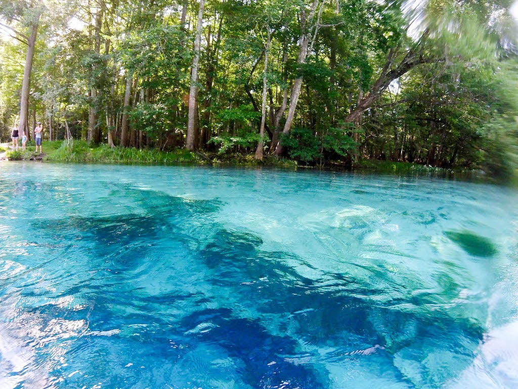 gilchrist blue springs clear water