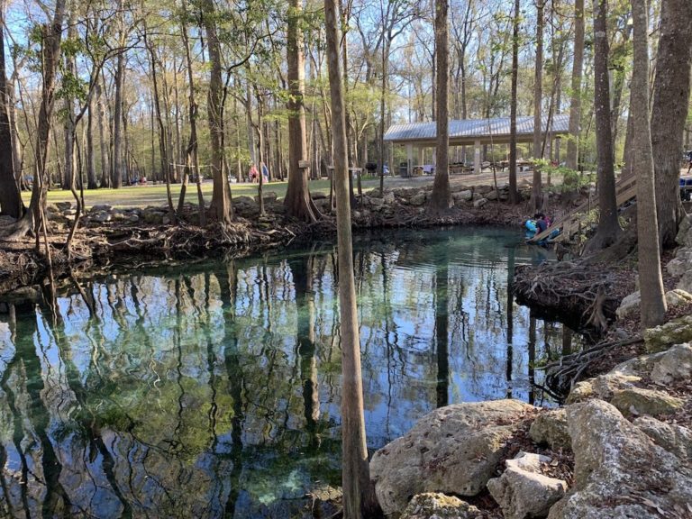 Ginnie Springs The Florida Guidebook