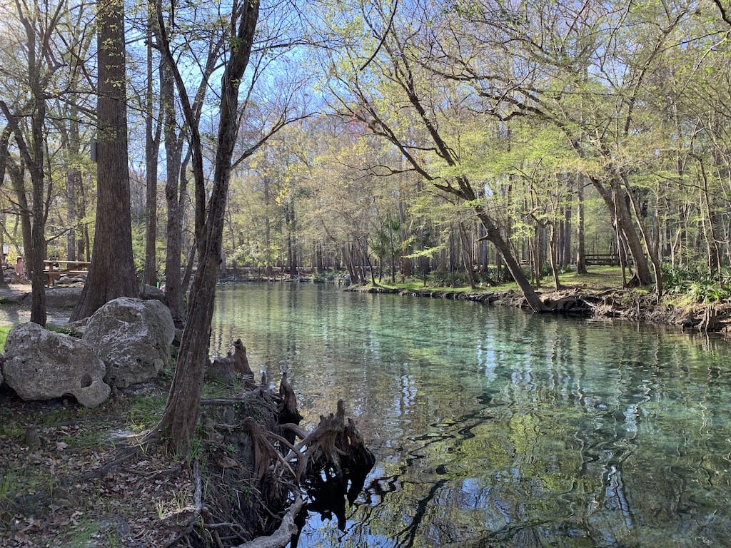 Ginnie springs 