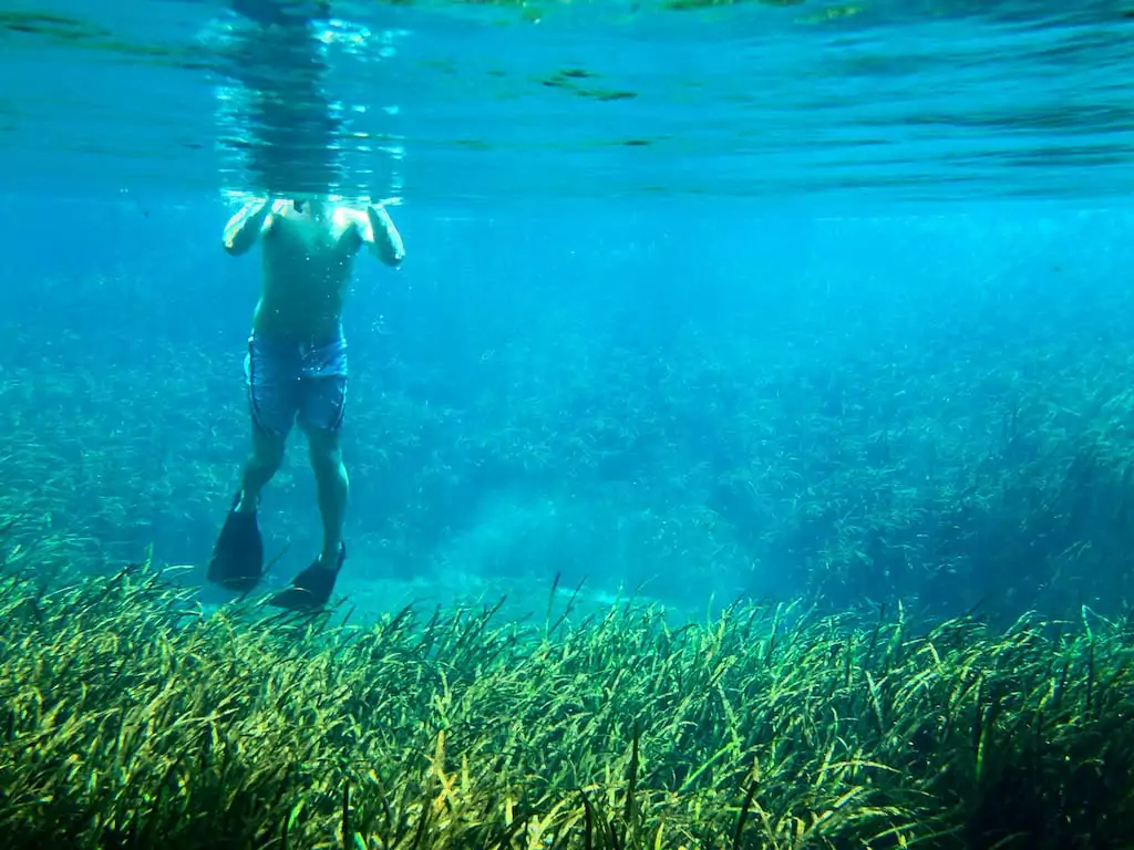 ichetucknee springs blue hole spring