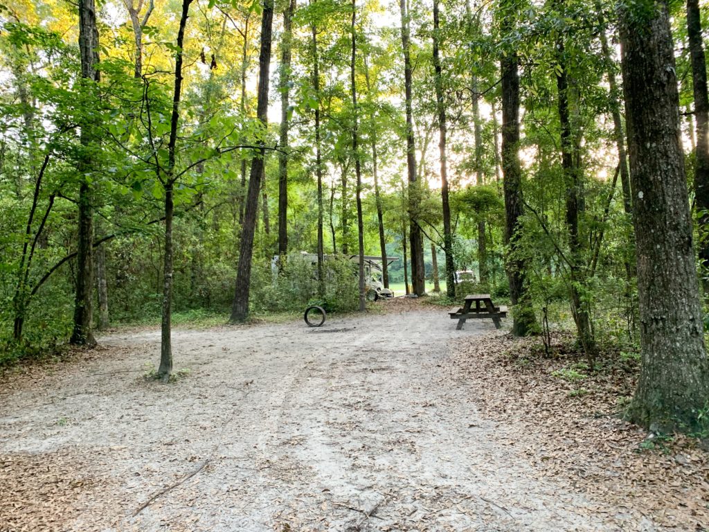 Ichetucknee Springs Campground campsite