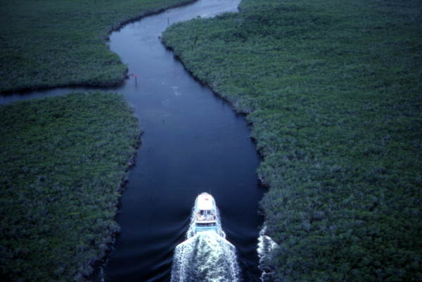 A river through mangroves in John Pennekamp Coral Reef State Park in Key Largo