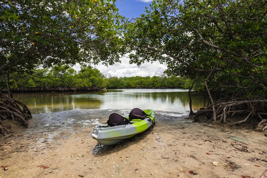 Kayaking Oleta River State Park near Miami, Florida