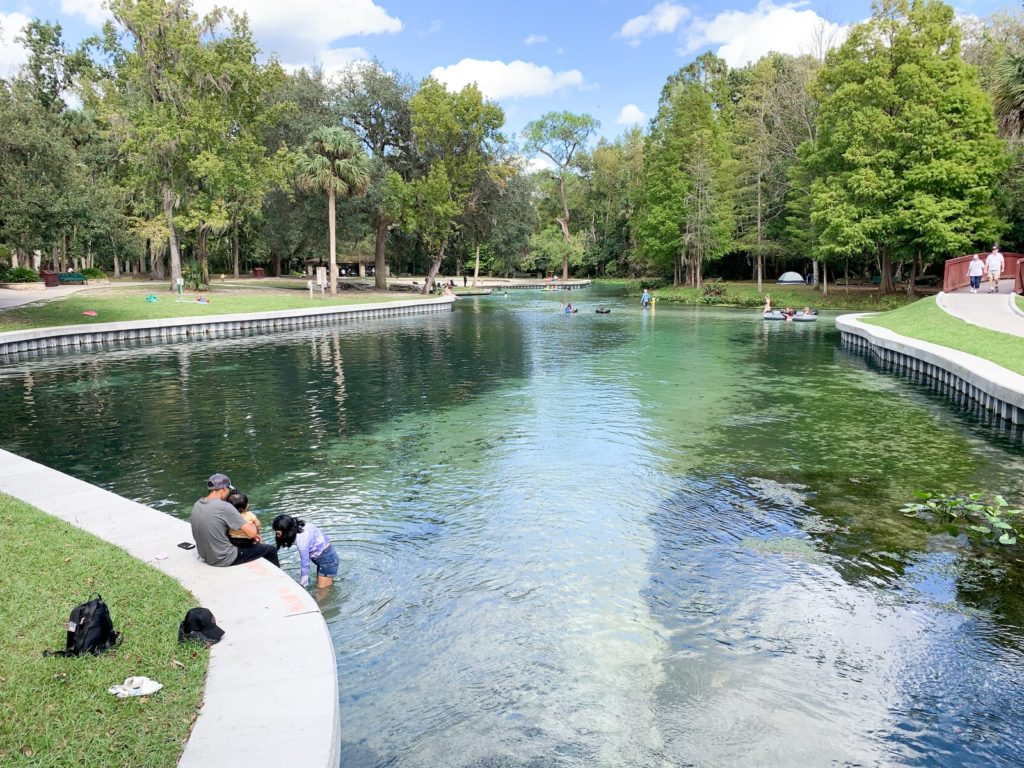 The main swimming area in Kelly Park/Rock Springs