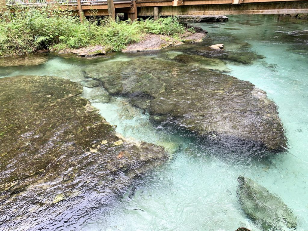 Rocks in Rock Spring/Kelly Park