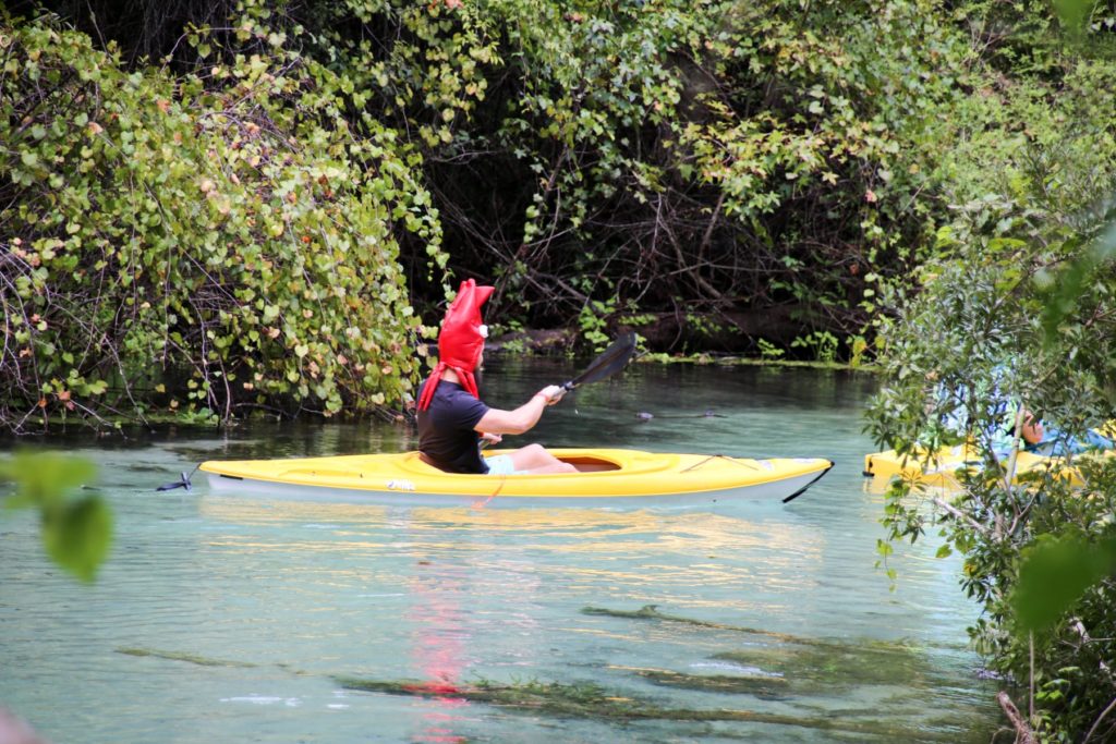 Kayaking Rock Springs/Kelly Park