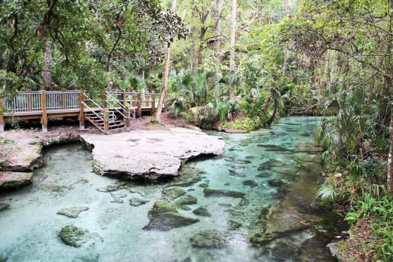 Rock Springs Run near the headspring in Kelly Park, Apopka, Florida