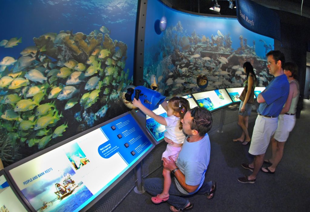 Children observe fish in the Key West Aquarium Eco-Discovery Center