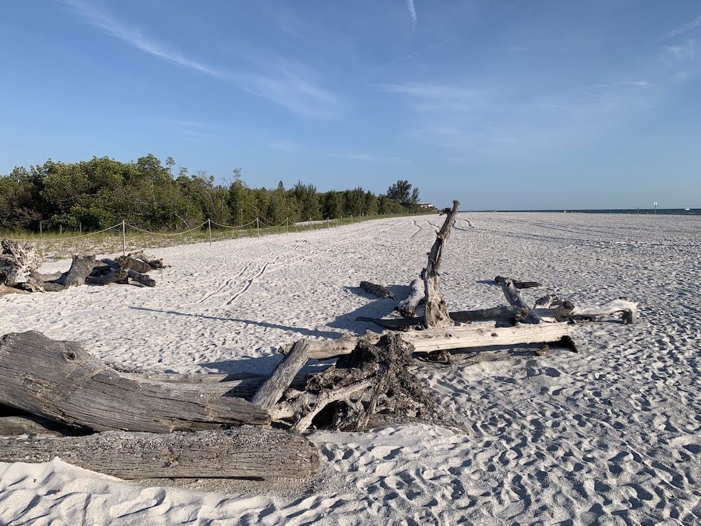 White sandy beach at Beer Can Island and driftwood, after beach renourishment