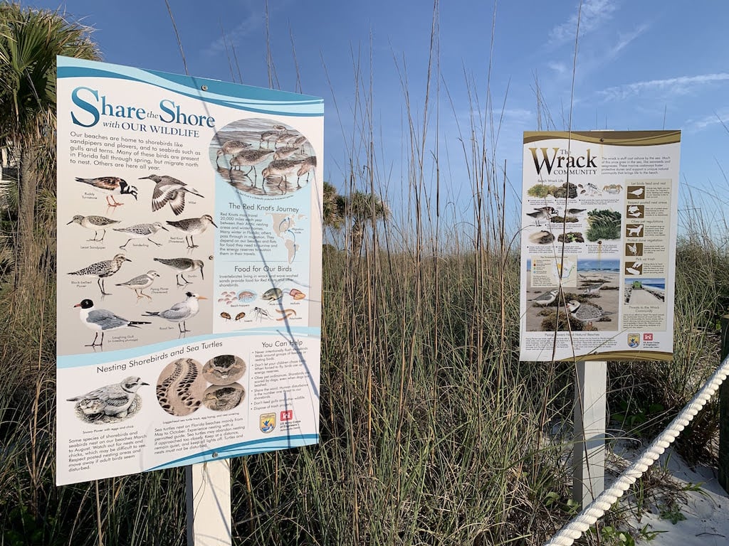 Bird species found on Longboat Key