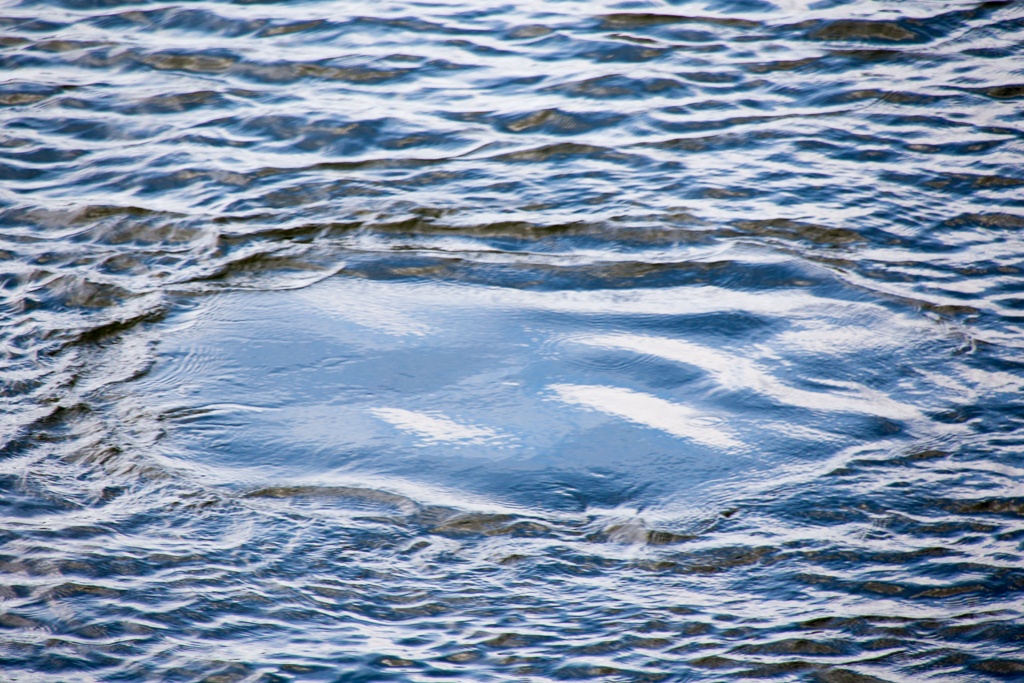 A bubble on the water surface indicates a manatee near you!