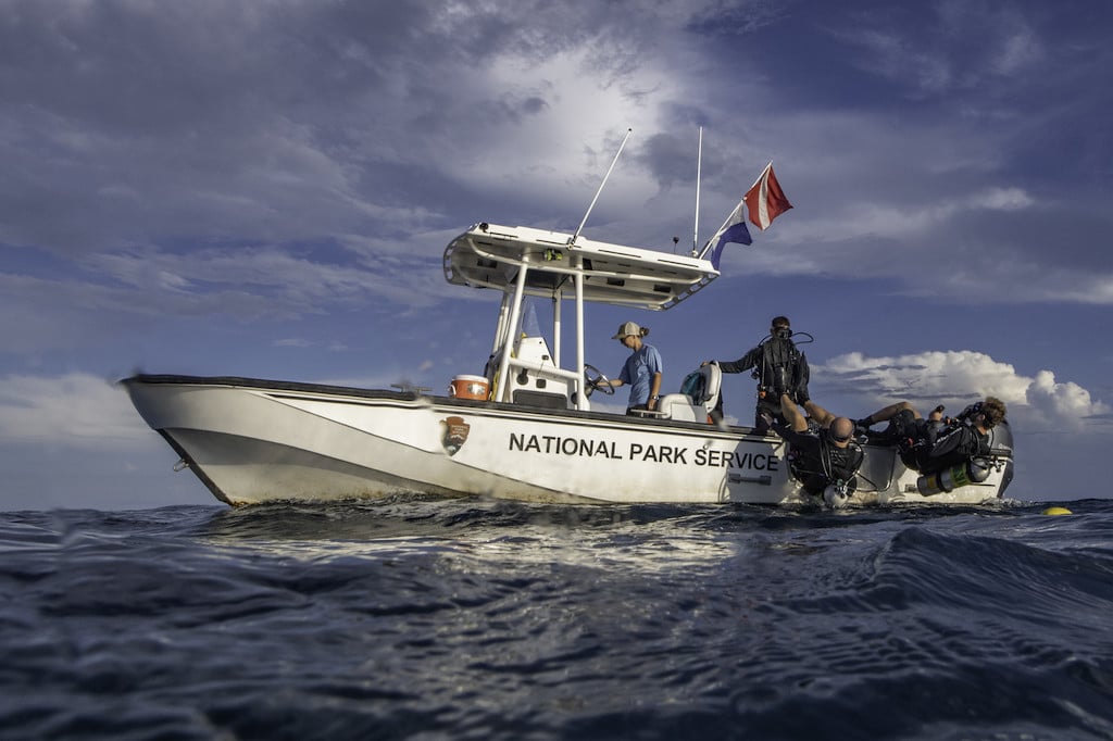 Seagrass - Gulf Islands National Seashore (U.S. National Park Service)