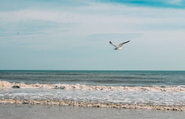 The beach at Neptune Beach, Florida, near Jacksonville