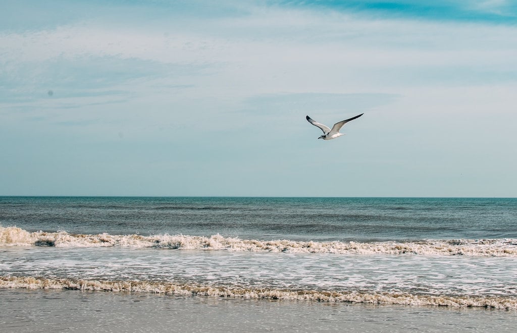 The beach at Neptune Beach, Florida, near Jacksonville