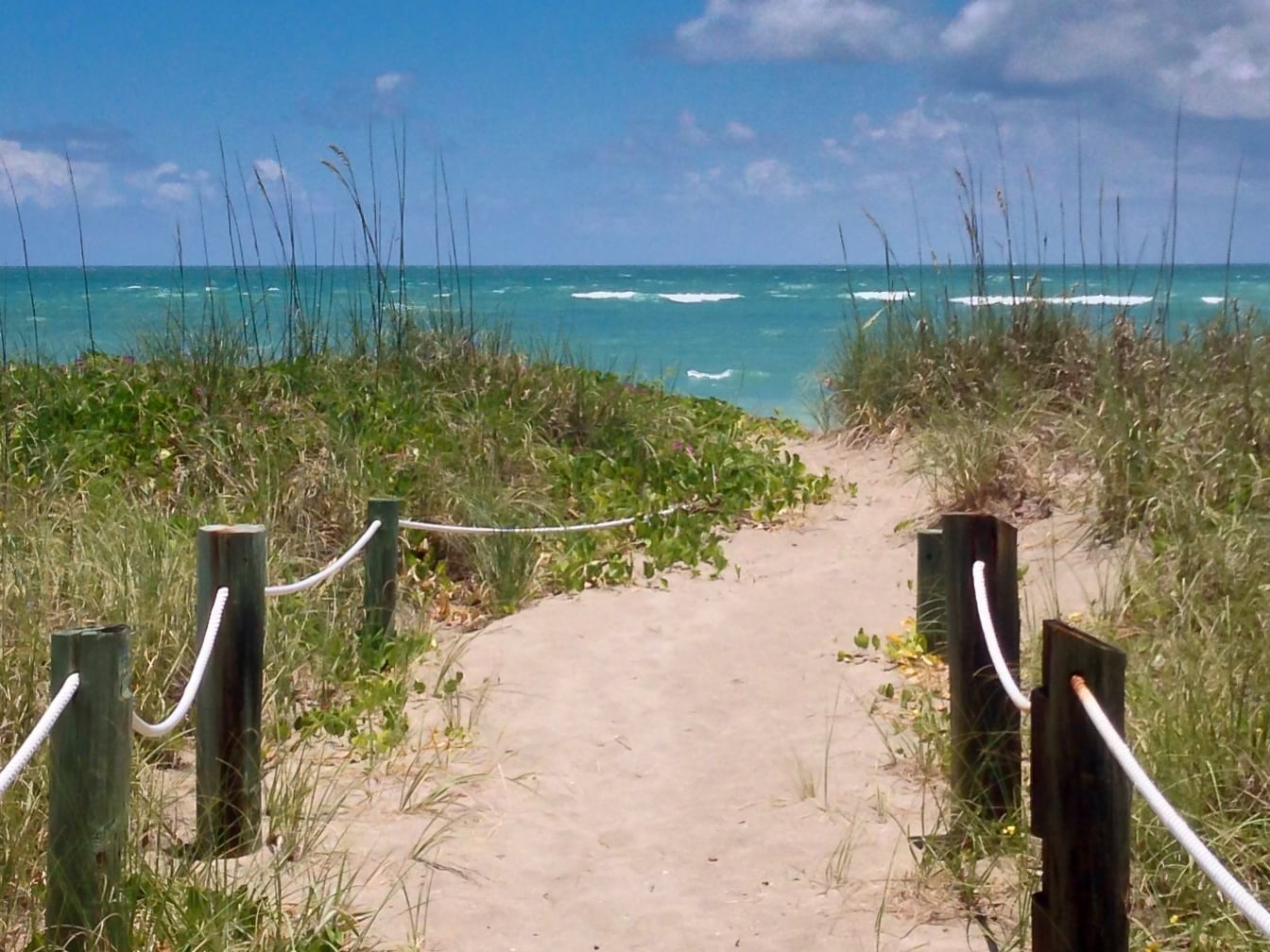 A beach access point in New Smyrna Beach, Florida