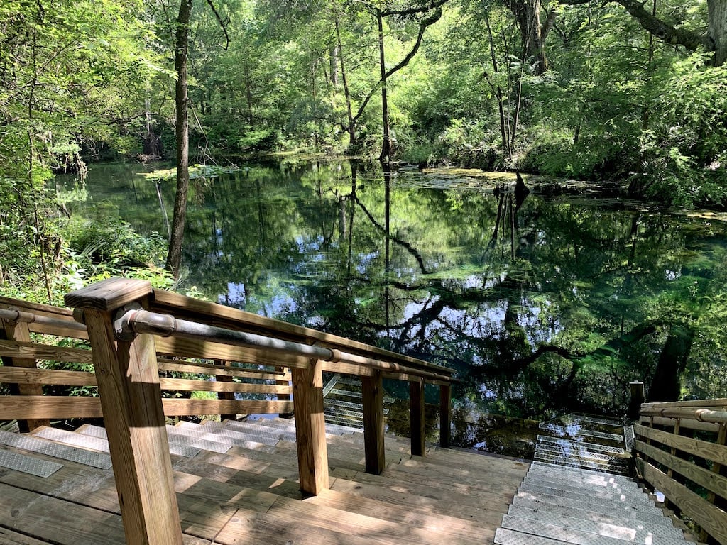 Wes Skiles Peacock Springs State Park