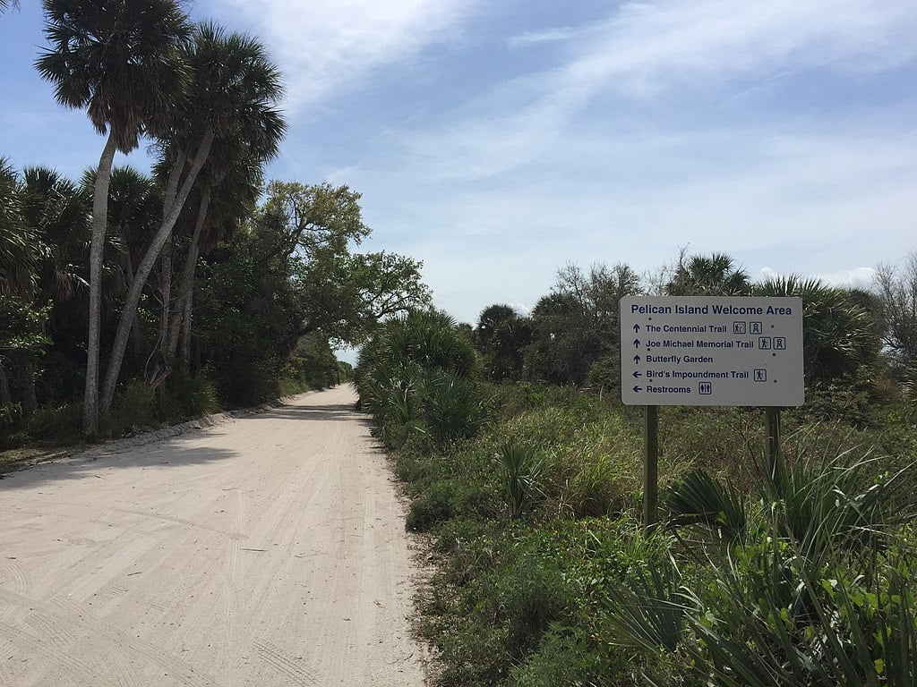 The jungle trail in the Pelican Island National Wildlife Refuge, near Sebastian Florida