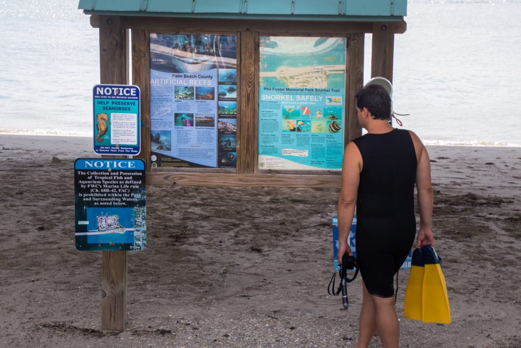 Snorkeling at the Phil Foster Snorkel Trail