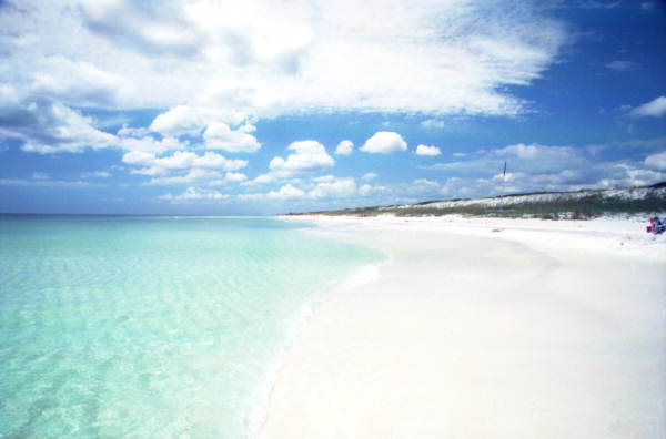 Grayton Beach State Park, Florida crystal clear water, florida