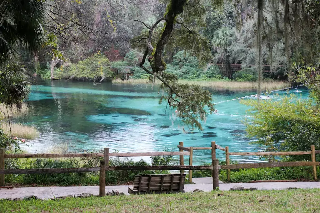 Clear blue water in the Rainbow River, Florida