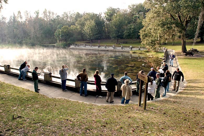 Salt springs, florida