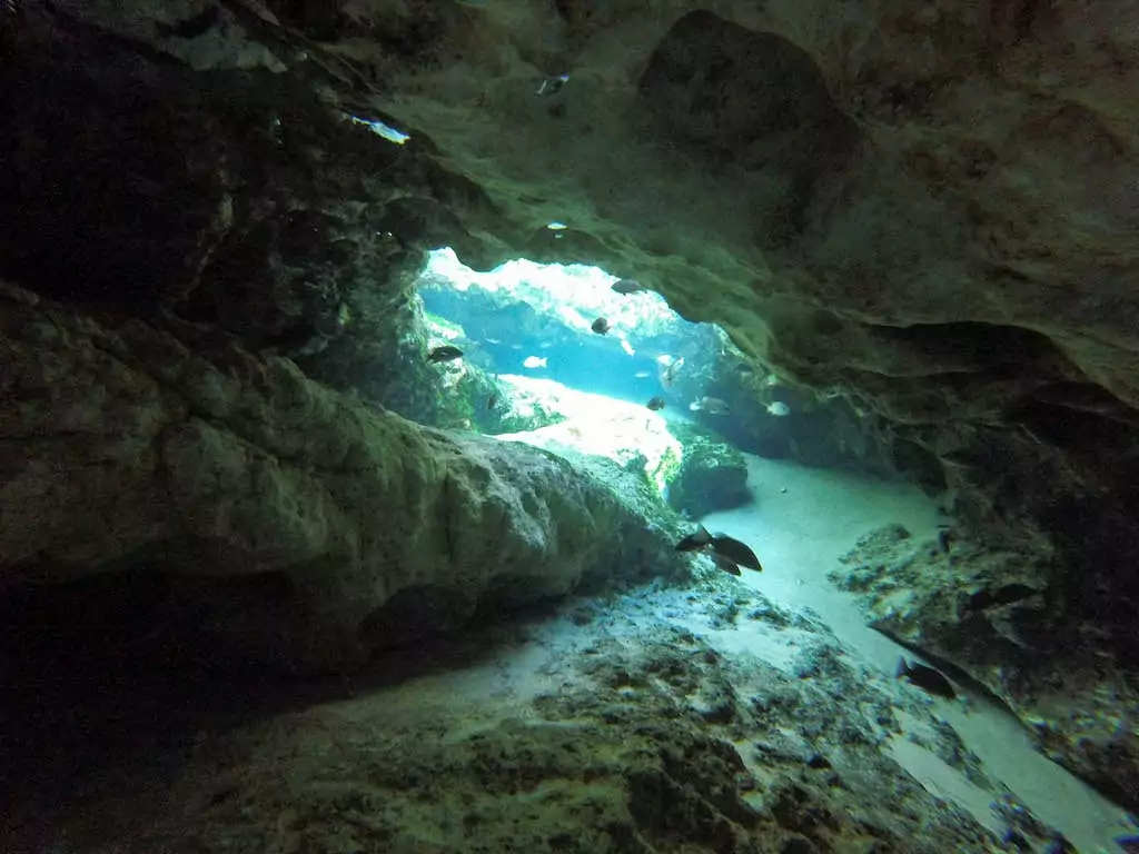 seven sisters springs chassahowitzka clear water