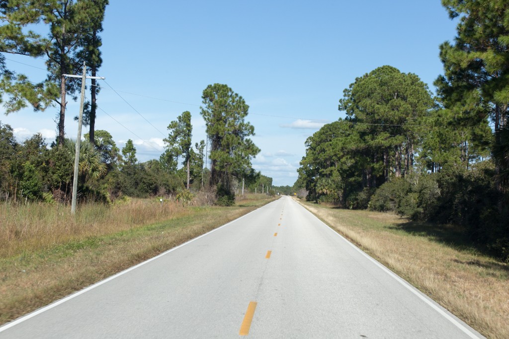 shell mound cedar key 0021