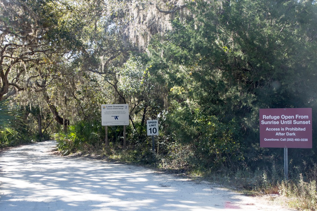 shell mound cedar key 0031