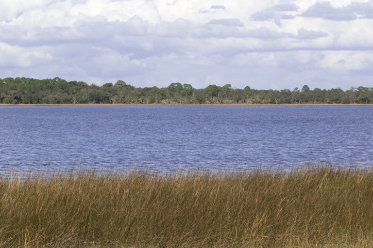 Shell mound campground is surrounded by salt marsh and wetland