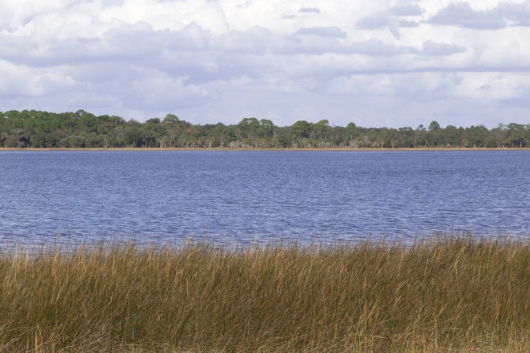 Shell Mound Campground (Cedar Key)