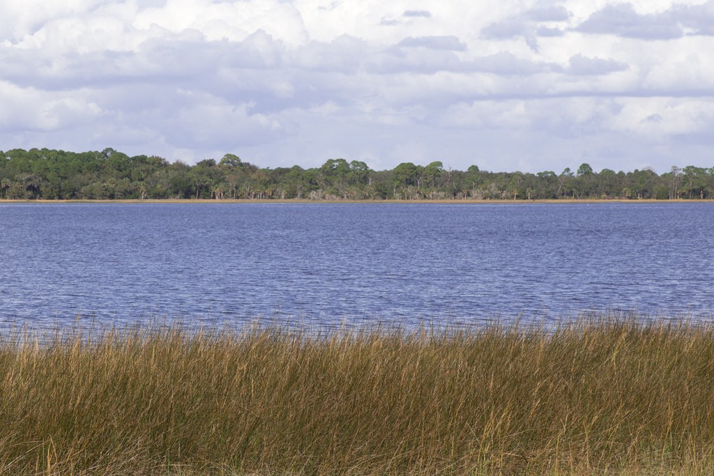 Shell mound campground is surrounded by salt marsh and wetland
