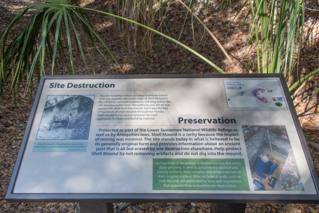 shell mound cedar key 0053