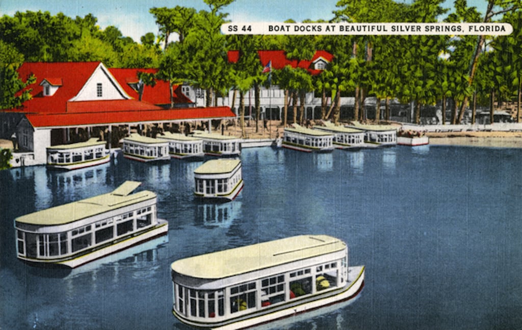 silver springs state park glass bottom boats