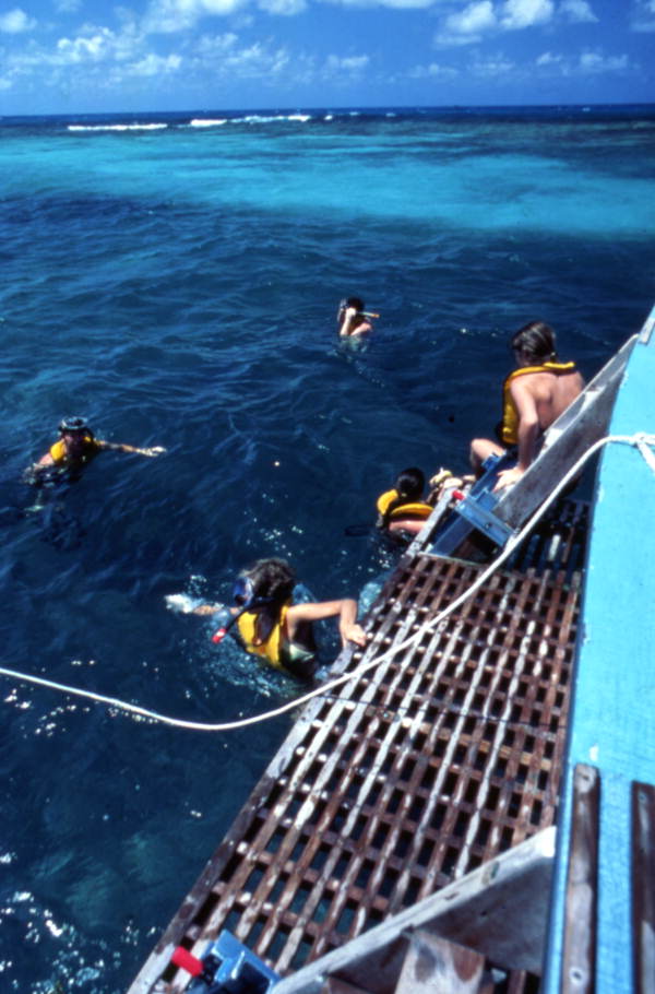 Snorkeling tour in John Pennekamp Coral Reef State Park, Key Largo