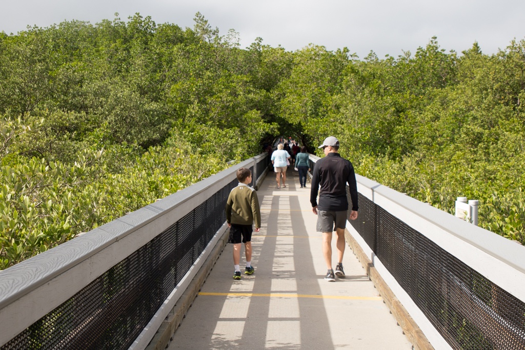 A nature boardwalk at the TECO Manatee Viewing Center in Tampa, Florida