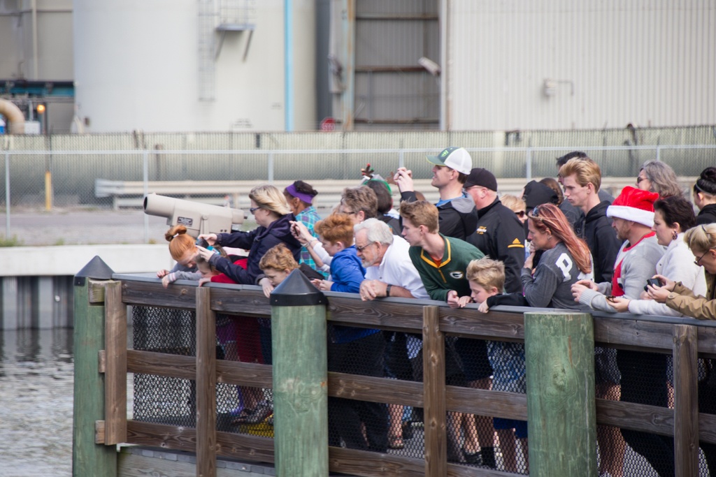 A crowd of children see manatees from an observation platform