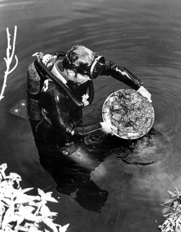 Florida Hot Spring: A Marine Archeologist Surfaces with Artifacts from Little Salt Spring