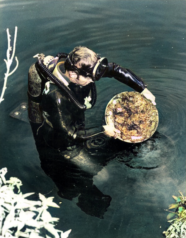 Scuba diver in Warm Mineral Springs, Fl. holding ancient human remains