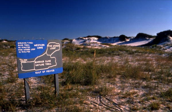 Grayton Beach State Park, Florida hiking trail