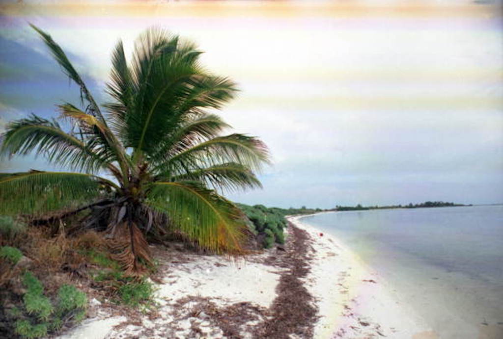 woman key boca grande key west pd floridamemory